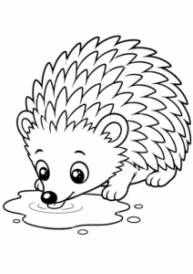 Igel trinkt aus einer Pfütze